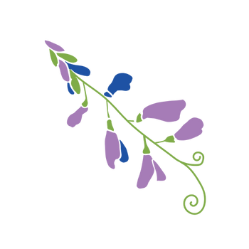 Goat’s Rue