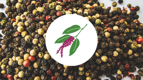 Black pepper with white circle on top and illustrated pepper and leaves