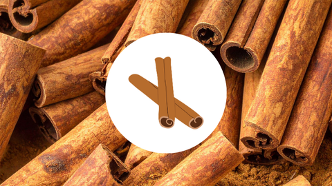 cinnamon sticks with illustrated cinnamon on top of a white circle