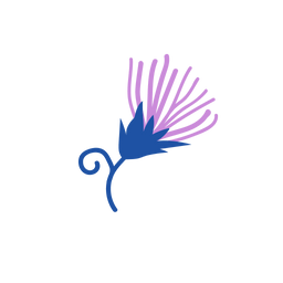 Blessed Thistle