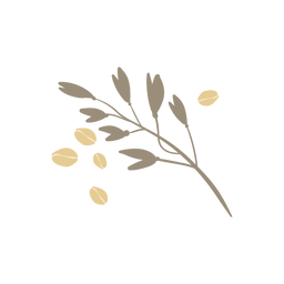 Oatmeal