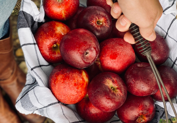 Welcoming Autumn - Ideas for Little Ones