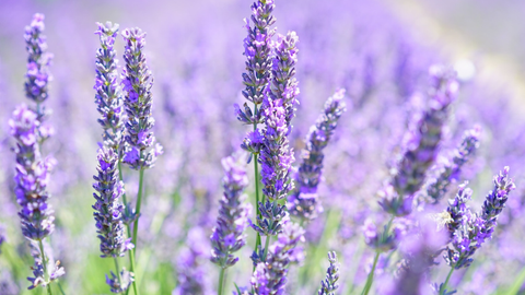 A note from our CEO - END RACISM