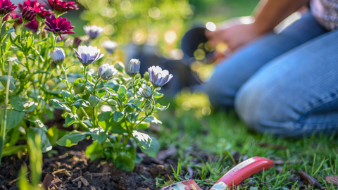 10 Spring Activities to Do With Kids