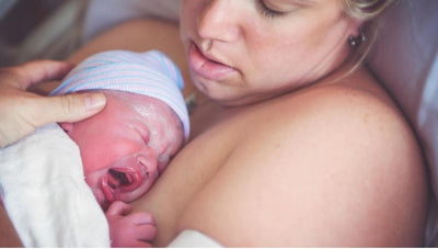 What in the World is Wharton’s Jelly?