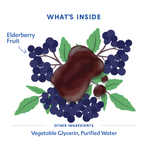 An illustrated 'What's Inside' label showing elderberry fruit, green leaves, and a dark brown oval center surrounded by text listing other ingredients: vegetable glycerin and purified water.