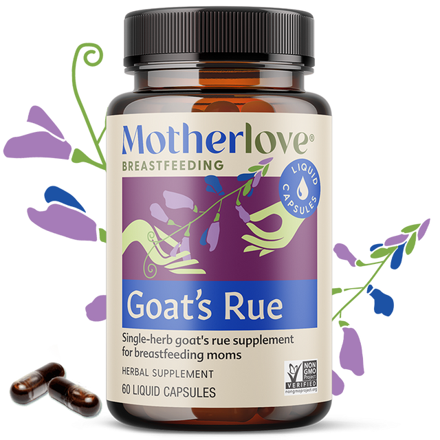 Goat's Rue Capsules | Motherlove – Motherlove Herbal Company
