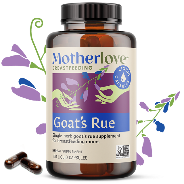Goat's Rue Capsules | Motherlove – Motherlove Herbal Company