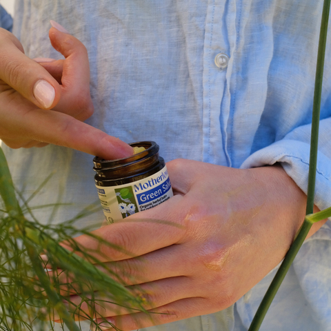 Person holding a jar of Green Salve amidst green plants