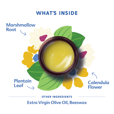 what's inside green salve with jar and illustrated herbs in center