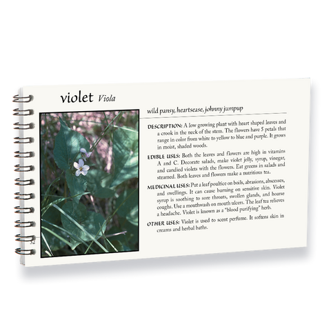 opened page of the Herb Guide showing what "Violet" looks like as an example