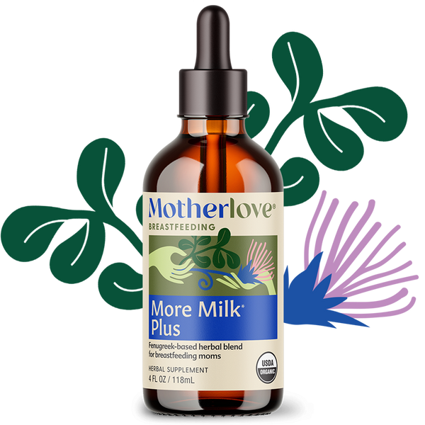 More Milk Plus® Tincture | Motherlove – Motherlove Herbal Company