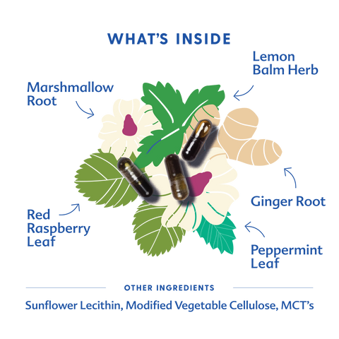 What's inside Morning Sickness Blend with capsules and herbs in center