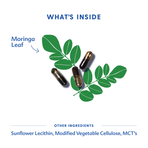 What's inside Moringa capsules with capsule sand herbs in center
