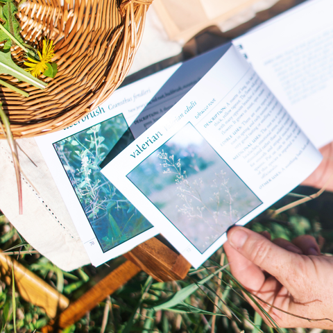 Kathryn's Herbal Guide