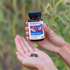 Goat's Rue Capsules | Motherlove – Motherlove Herbal Company