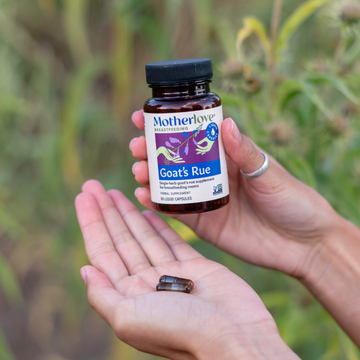 Goat's Rue Capsules | Motherlove – Motherlove Herbal Company