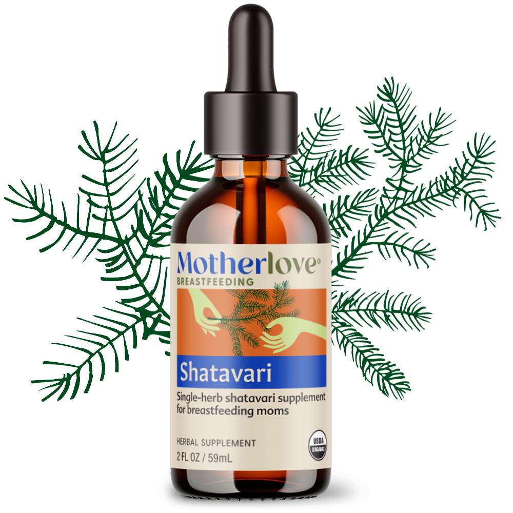 Shatavari Tincture