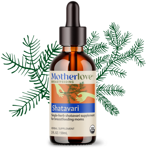 Motherlove Shatavari supplement bottle with green leaves on a white background